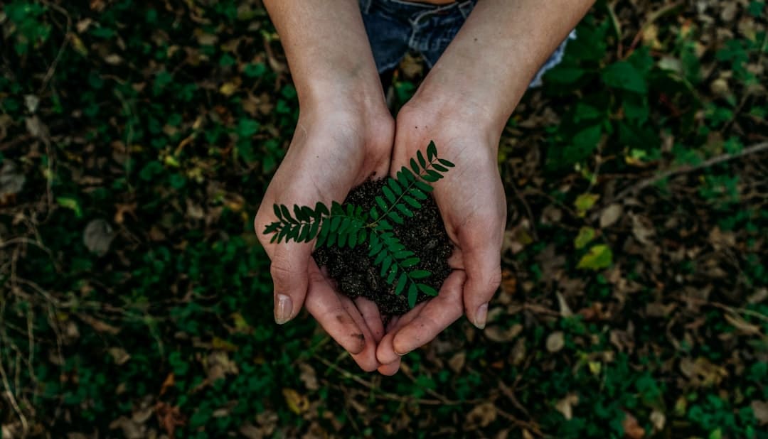 découvrez comment le tourisme durable transforme les voyages en respectant l'environnement, en soutenant les communautés locales et en préservant les cultures. explorez des pratiques éco-responsables et des destinations qui allient exploration et protection de notre planète.