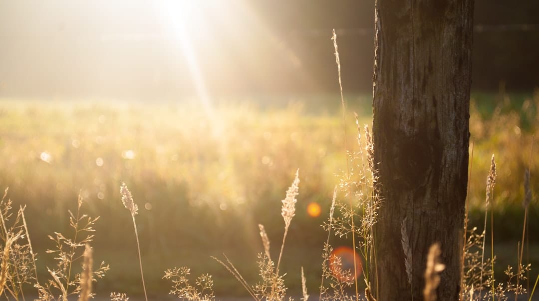 découvrez l'importance d'un rituel matinal pour bien commencer votre journée. apprenez des techniques de méditation, d'exercice physique et de nutrition pour booster votre énergie et votre productivité.