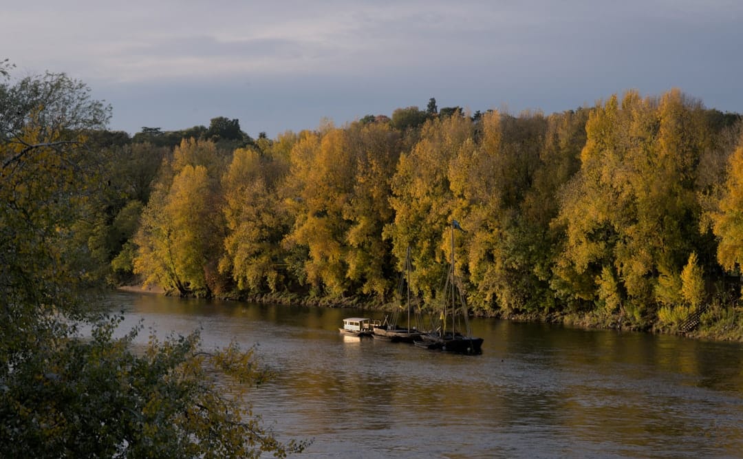 découvrez nos visites guidées exceptionnelles qui vous plongeront au cœur de l'histoire, de la culture et des paysages magnifiques. explorez des destinations incontournables avec des guides professionnels passionnés qui partageront des anecdotes fascinantes et des secrets locaux. réservez dès maintenant votre aventure sur mesure!