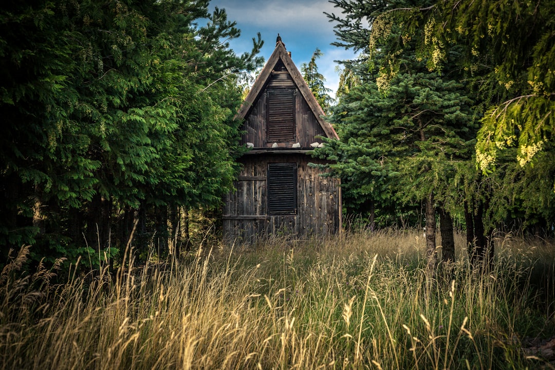 découvrez les sentiers cachés qui révèlent la beauté sauvage de la nature. partez à l'aventure loin des foules et explorez des paysages uniques et sereins. recherchez l'évasion à travers ces parcours mystérieux et enchanteurs.